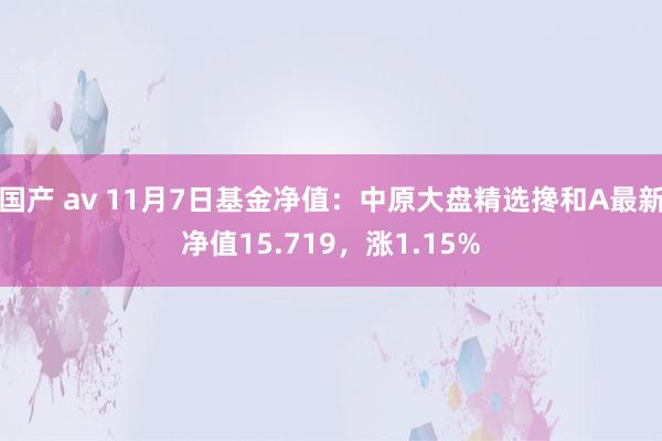 国产 av 11月7日基金净值：中原大盘精选搀和A最新净值15.719，涨1.15%