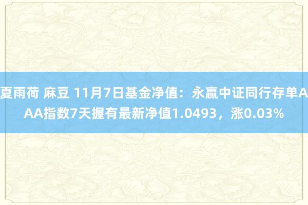 夏雨荷 麻豆 11月7日基金净值：永赢中证同行存单AAA指数7天握有最新净值1.0493，涨0.03%