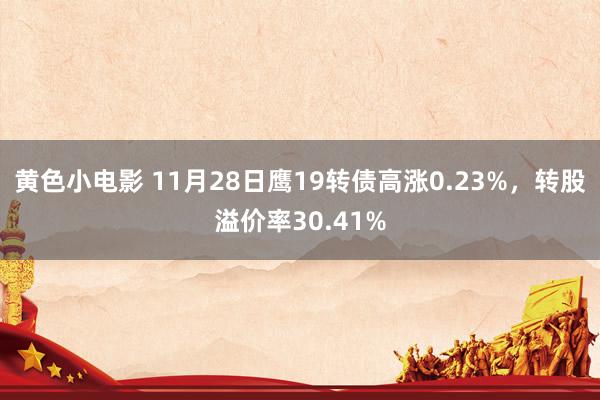 黄色小电影 11月28日鹰19转债高涨0.23%，转股溢价率30.41%