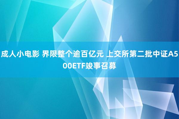 成人小电影 界限整个逾百亿元 上交所第二批中证A500ETF竣事召募