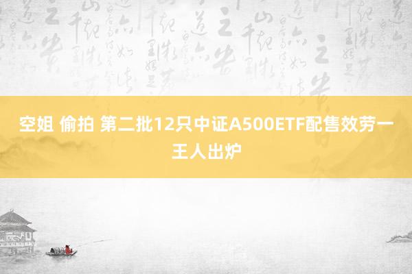 空姐 偷拍 第二批12只中证A500ETF配售效劳一王人出炉