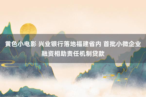 黄色小电影 兴业银行落地福建省内 首批小微企业融资相助责任机制贷款