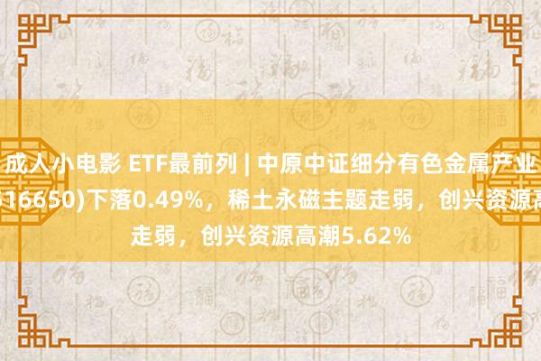 成人小电影 ETF最前列 | 中原中证细分有色金属产业主题ETF(516650)下落0.49%，稀土永磁主题走弱，创兴资源高潮5.62%