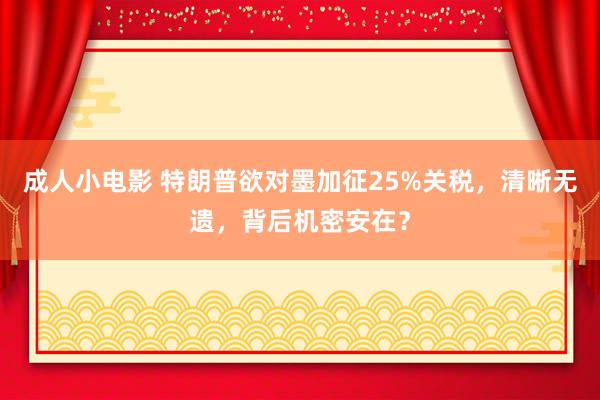 成人小电影 特朗普欲对墨加征25%关税，清晰无遗，背后机密安在？