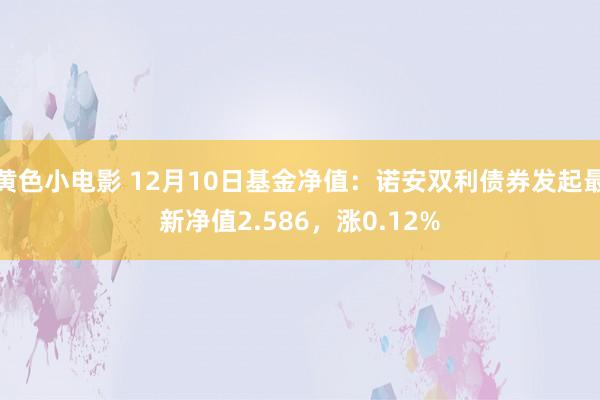 黄色小电影 12月10日基金净值：诺安双利债券发起最新净值2.586，涨0.12%