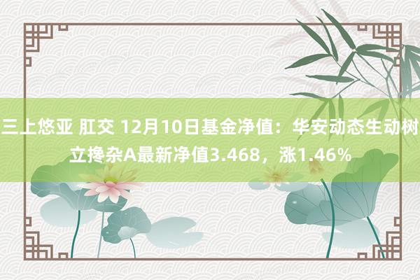 三上悠亚 肛交 12月10日基金净值：华安动态生动树立搀杂A最新净值3.468，涨1.46%