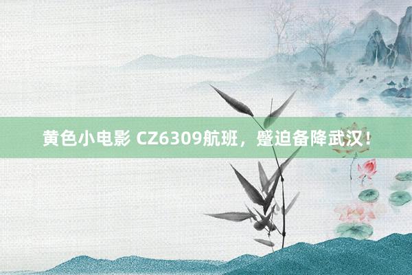 黄色小电影 CZ6309航班，蹙迫备降武汉！