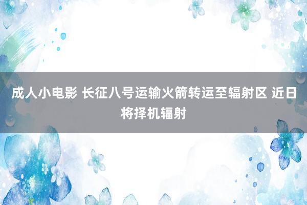 成人小电影 长征八号运输火箭转运至辐射区 近日将择机辐射