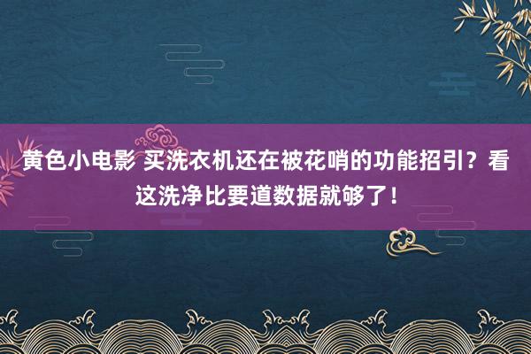 黄色小电影 买洗衣机还在被花哨的功能招引？看这洗净比要道数据就够了！