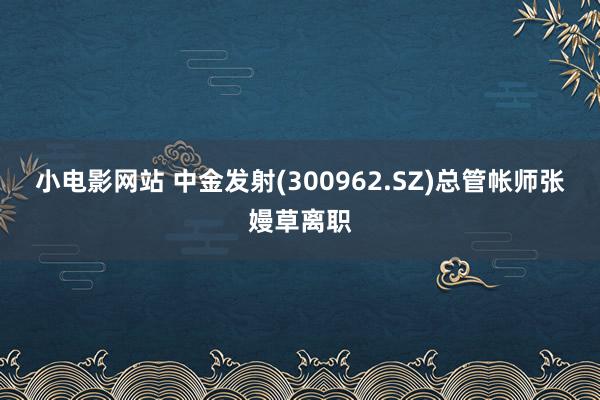 小电影网站 中金发射(300962.SZ)总管帐师张嫚草离职