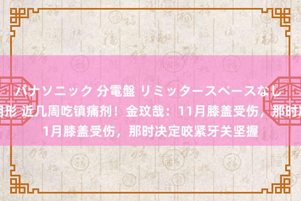 パナソニック 分電盤 リミッタースペースなし 露出・半埋込両用形 近几周吃镇痛剂！金玟哉：11月膝盖受伤，那时决定咬紧牙关坚握