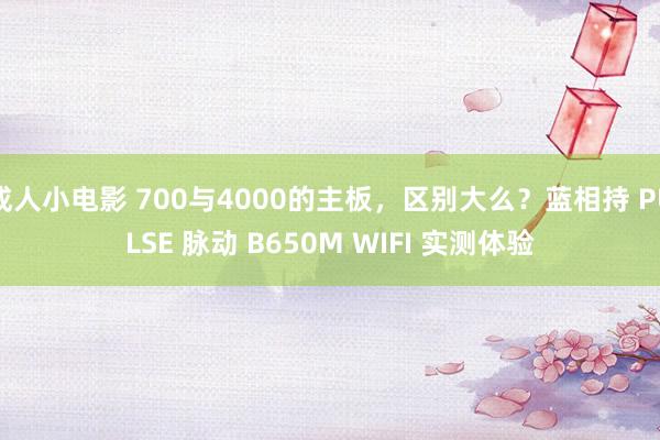 成人小电影 700与4000的主板，区别大么？蓝相持 PULSE 脉动 B650M WIFI 实测体验