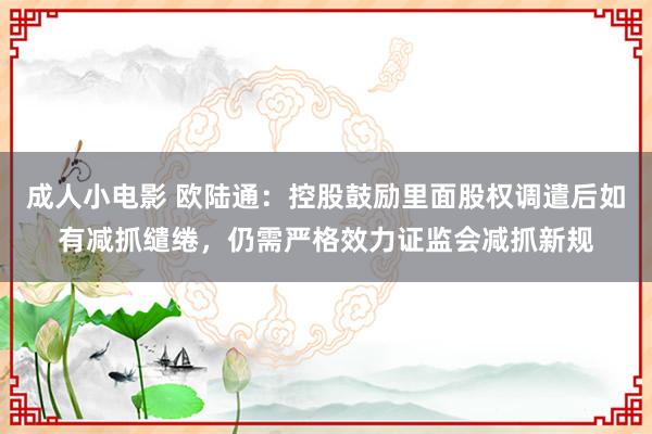 成人小电影 欧陆通：控股鼓励里面股权调遣后如有减抓缱绻，仍需严格效力证监会减抓新规