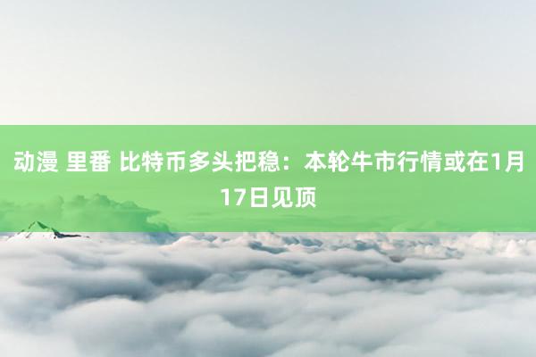 动漫 里番 比特币多头把稳：本轮牛市行情或在1月17日见顶