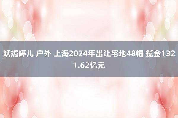 妖媚婷儿 户外 上海2024年出让宅地48幅 揽金1321.62亿元