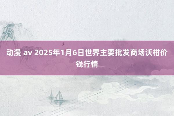 动漫 av 2025年1月6日世界主要批发商场沃柑价钱行情