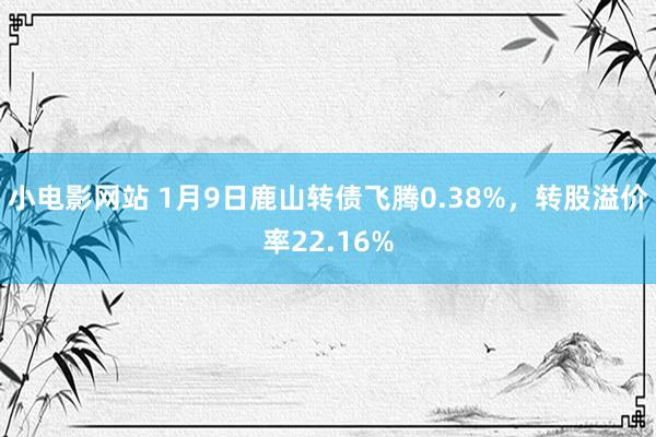 小电影网站 1月9日鹿山转债飞腾0.38%，转股溢价率22.16%