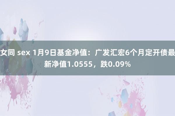 女同 sex 1月9日基金净值：广发汇宏6个月定开债最新净值1.0555，跌0.09%