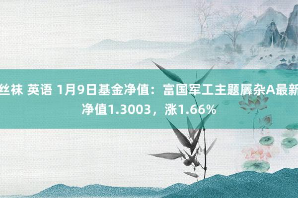 丝袜 英语 1月9日基金净值：富国军工主题羼杂A最新净值1.3003，涨1.66%