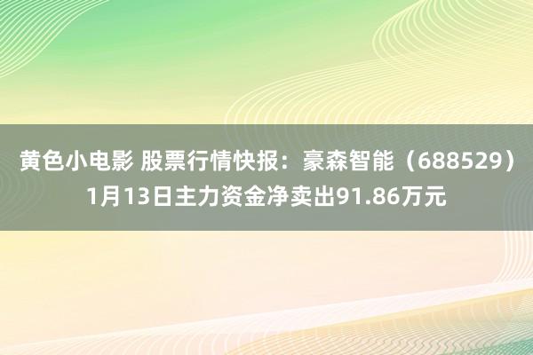 黄色小电影 股票行情快报：豪森智能（688529）1月13日主力资金净卖出91.86万元