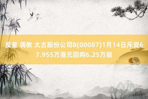 反差 调教 太古股份公司B(00087)1月14日斥资67.955万港元回购6.25万股