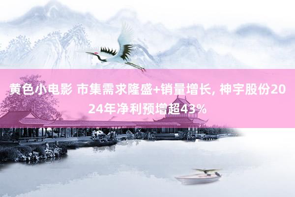 黄色小电影 市集需求隆盛+销量增长， 神宇股份2024年净利预增超43%