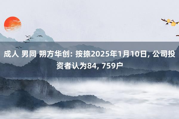 成人 男同 朔方华创: 按捺2025年1月10日， 公司投资者认为84， 759户