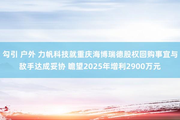 勾引 户外 力帆科技就重庆海博瑞德股权回购事宜与敌手达成妥协 瞻望2025年增利2900万元