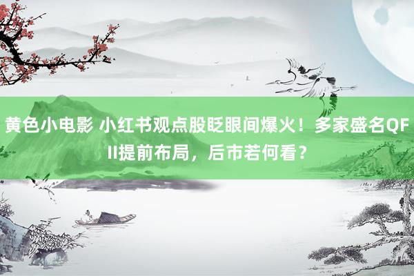 黄色小电影 小红书观点股眨眼间爆火！多家盛名QFII提前布局，后市若何看？