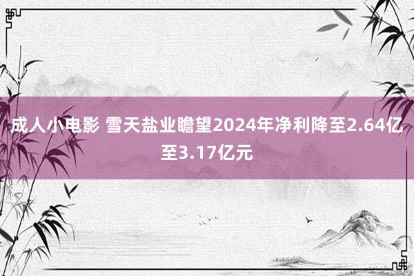 成人小电影 雪天盐业瞻望2024年净利降至2.64亿至3.17亿元