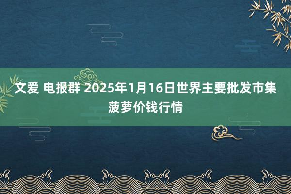 文爱 电报群 2025年1月16日世界主要批发市集菠萝价钱行情