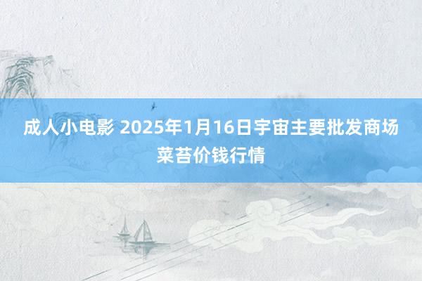 成人小电影 2025年1月16日宇宙主要批发商场菜苔价钱行情