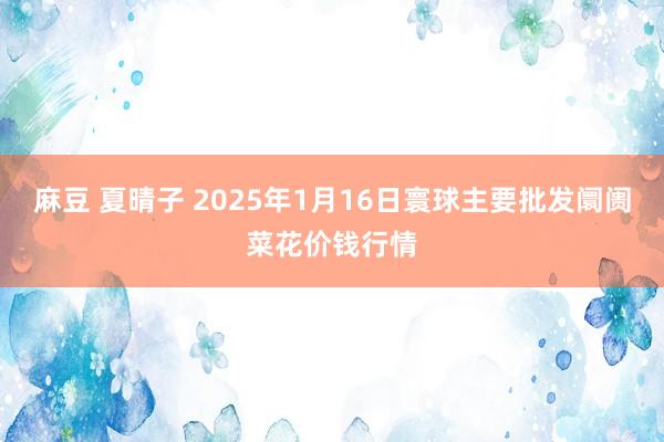 麻豆 夏晴子 2025年1月16日寰球主要批发阛阓菜花价钱行情