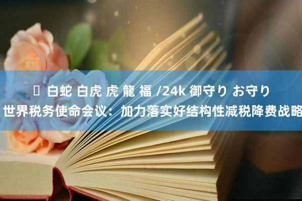 ✨白蛇 白虎 虎 龍 福 /24k 御守り お守り 世界税务使命会议：加力落实好结构性减税降费战略