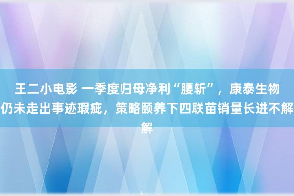王二小电影 一季度归母净利“腰斩”，康泰生物仍未走出事迹瑕疵，策略颐养下四联苗销量长进不解