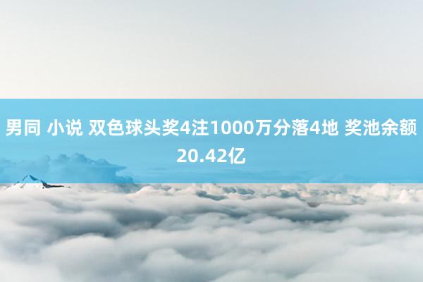 男同 小说 双色球头奖4注1000万分落4地 奖池余额20.42亿